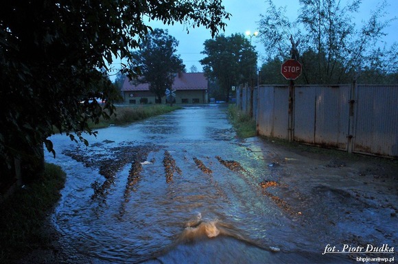 fot_061
