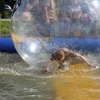 foto_019