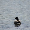 DSC_4002-1024