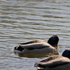 DSC_4003-1024
