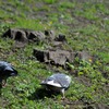 DSC_4009-1024
