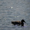 DSC_4010-1024