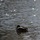 DSC_4012-1024