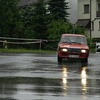 fot0024