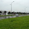 fot0245