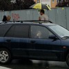 fot0354