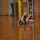 DSC_1115-1024
