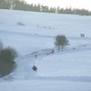 DSCF3957-1024