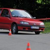 foto_293