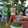 foto_481