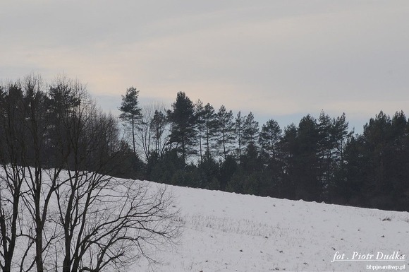DSC_0024-1024