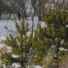 DSC_0044-1024