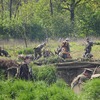 foto_051