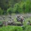 foto_061