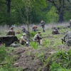 foto_075