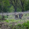 foto_086