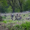 foto_088