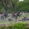 foto_099