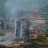 foto_085