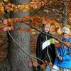 foto_233