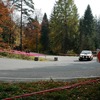 foto_239