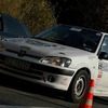 foto_336