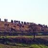 foto_044