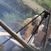 _mg_0719
