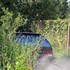 foto_035