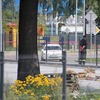 foto_036