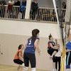 _MG_8464-1024