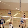 _MG_7403-1024