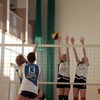 _MG_7532-1024