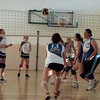 _MG_7536-1024