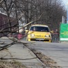 _MG_8968-1024