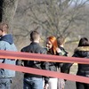 _MG_9474-1024
