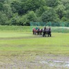 IMG_9367-1024