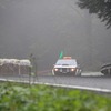 IMG_9593-1024
