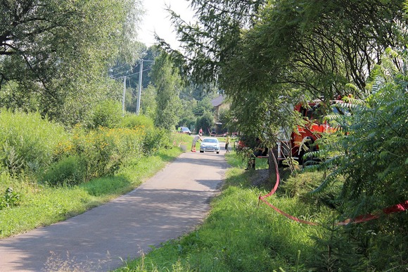 foto_214